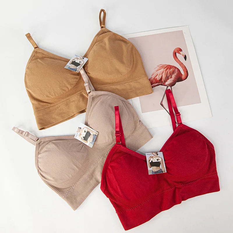 3 Peças sutiã Esportivo Sem Costura - Conjunto de Lingerie 3 Peças - Sutiã Cropped Sexy Feminino